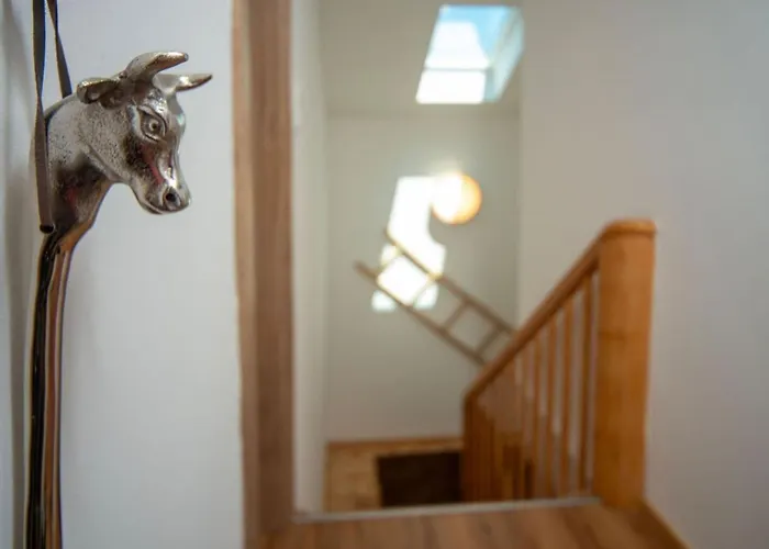 Apartman Schaeferhuette *